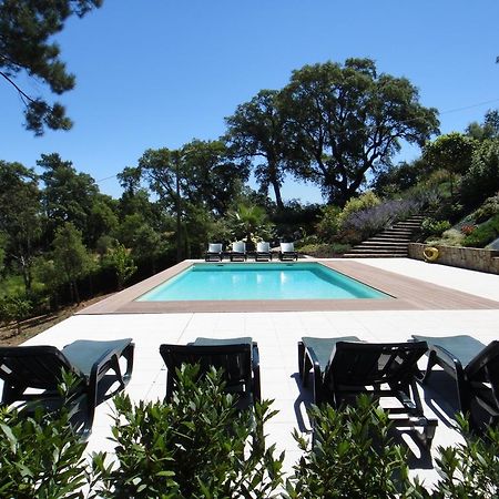 The Art House Villa Serra Room photo